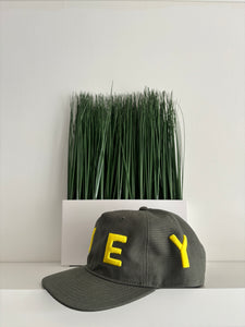 DOODLE SNAPBACK HAT